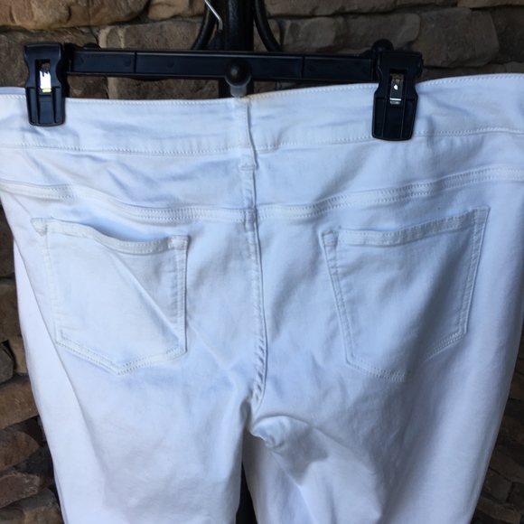 Maurice White Jegging Plants - Picture 5 of 5